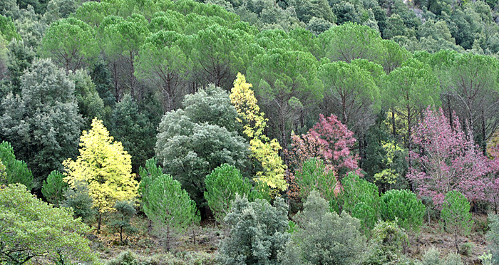 photo Excursions Sardinia number 1