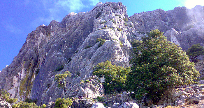 photo Excursions Sardinia number 11