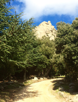 immagine escursioni sardegna foto 8