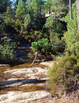 immagine escursioni sardegna foto 9